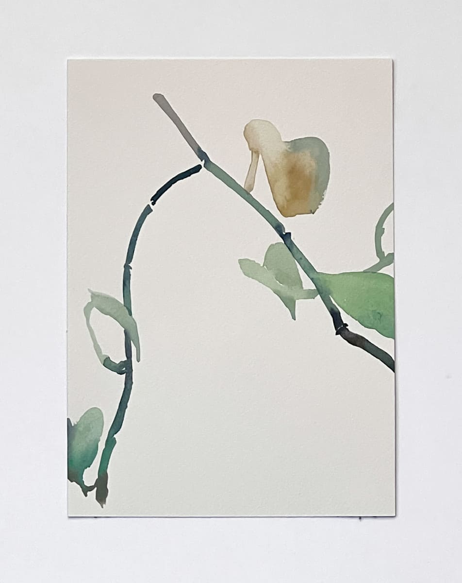 Golden Pothos 4/21 by Karen Kuo  Image: 9-14-2018 no. 4, Series: #4 of 21.