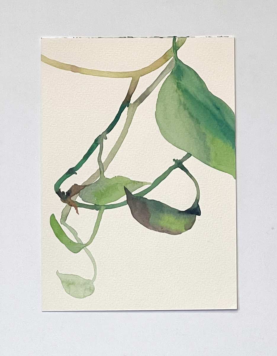 Golden Pothos 8/21 by Karen Kuo  Image: 9-14-2018 no. 8, Series: #8 of 21.