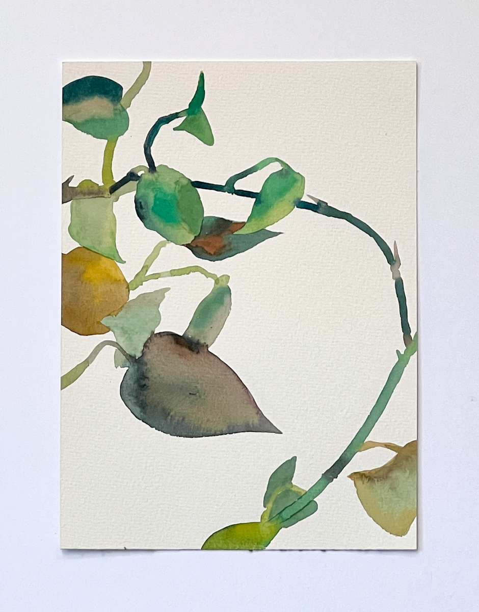 Golden Pothos 9/21 by Karen Kuo  Image: 9-14-2018 no. 9, Series: #9 of 21.