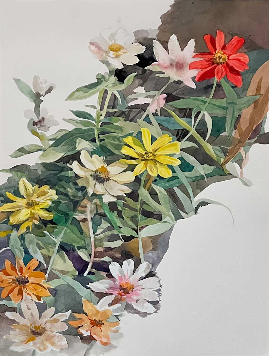 Zinnias in December, Los Angeles by Karen Kuo 