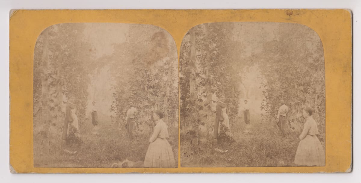 Stereoview by A.S. Avery, Image 2.