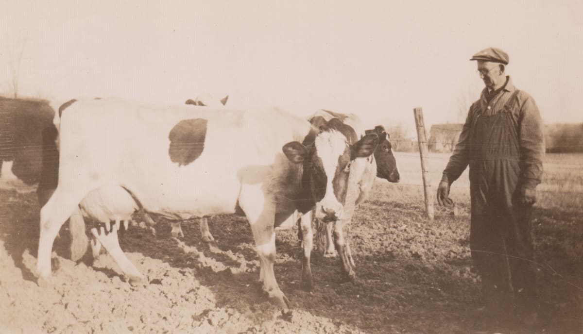 Tending the Cows by Maynard A. Knights 