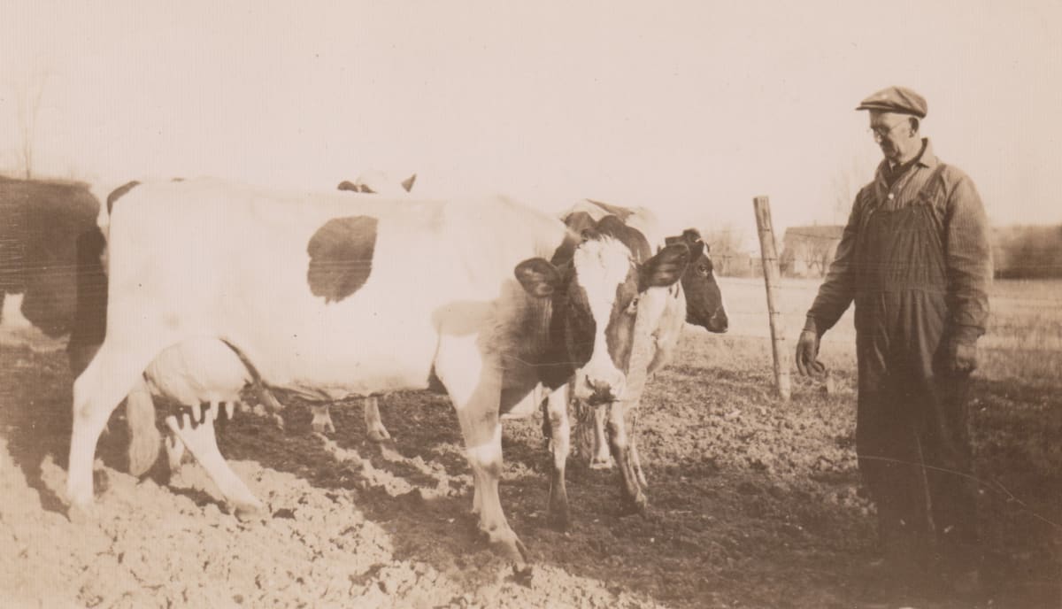 Tending the Cows by Maynard A. Knights, Image 1.