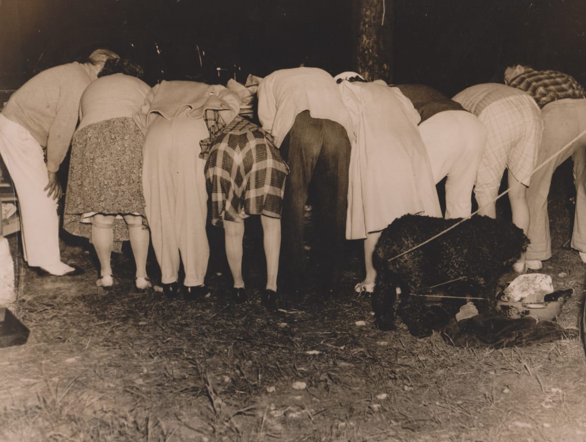 Backsides by Unknown, United States, Image 1.