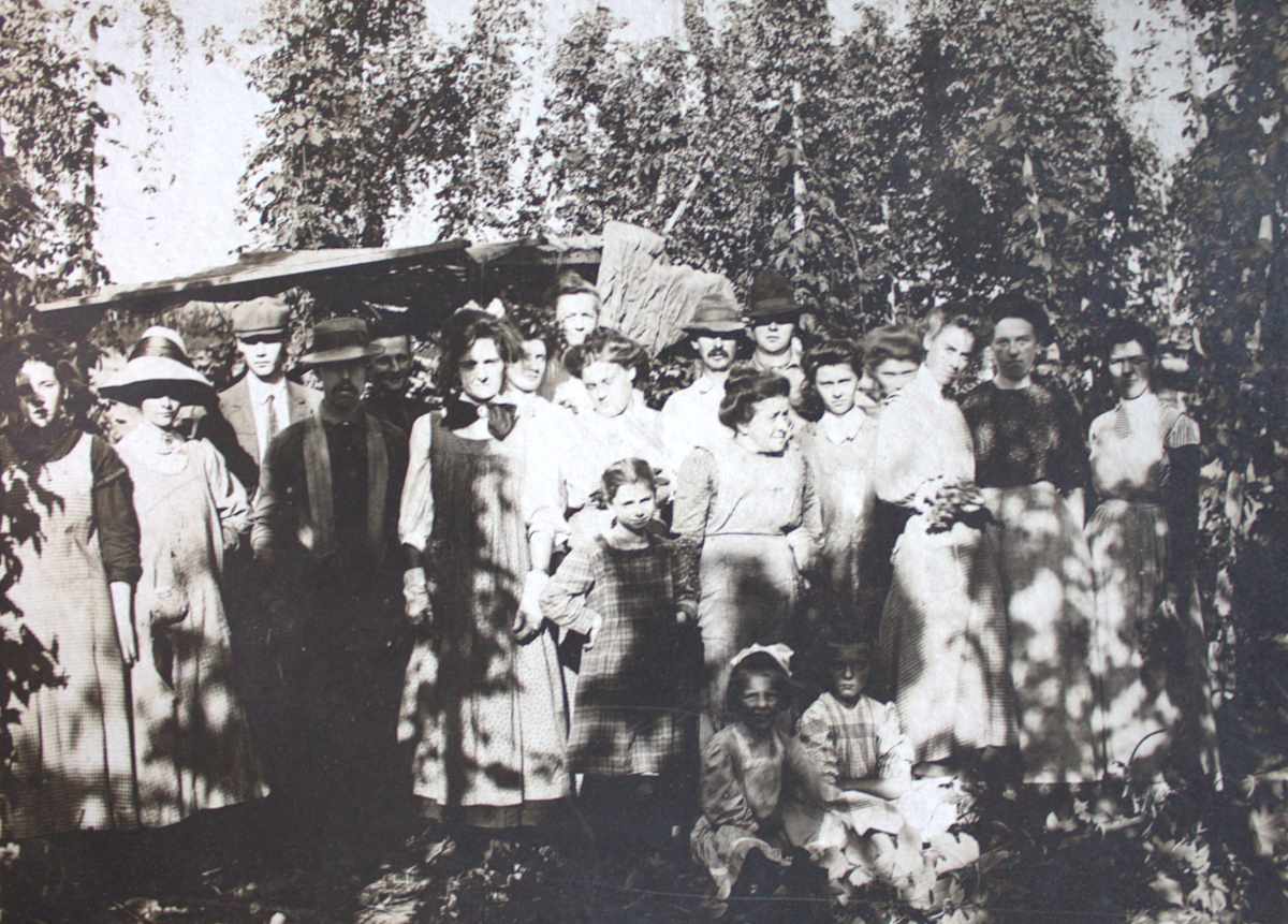 Picking Hops by Unknown, United States, Image 1.