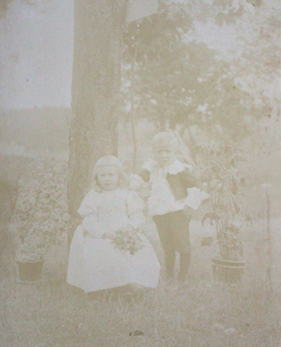 Children and Plants by Unknown, United States, Image 1.
