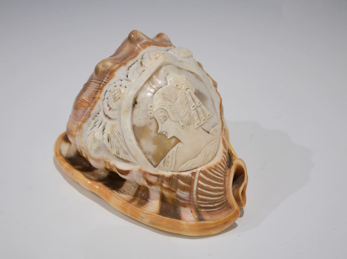 Cameo Shell by Unknown, Italy 