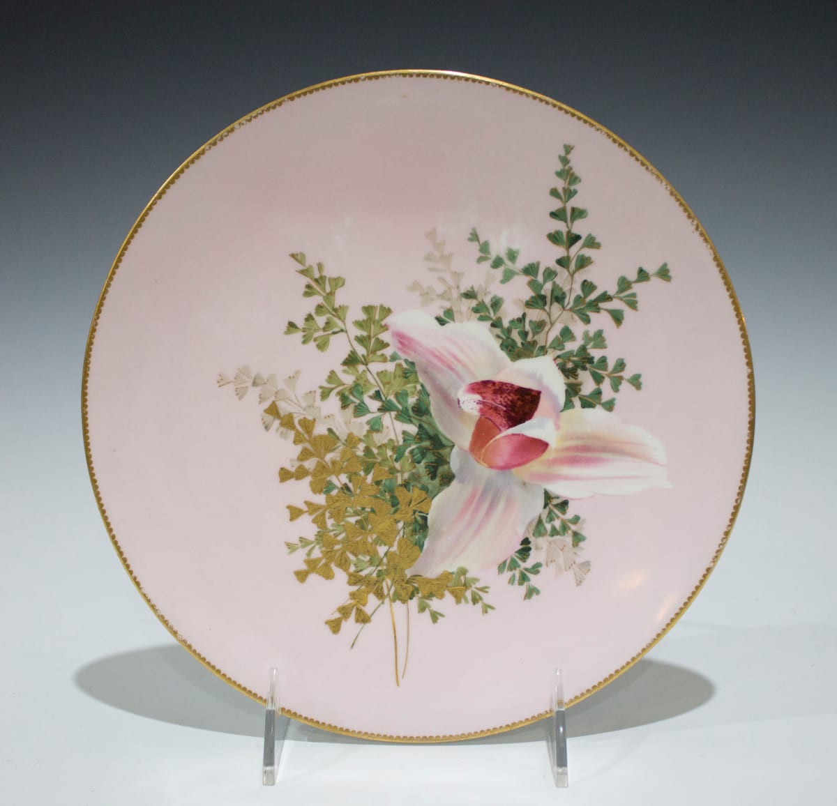 Plate by Edwin J.D. Bodley, Image 2.