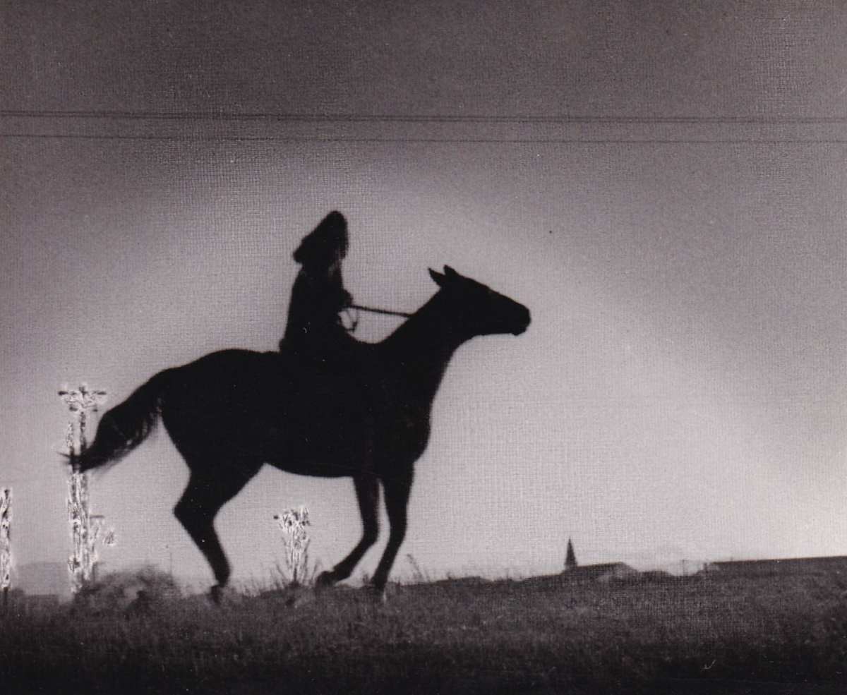 Untitled (Gallop) by Mitchel A. Obremski 