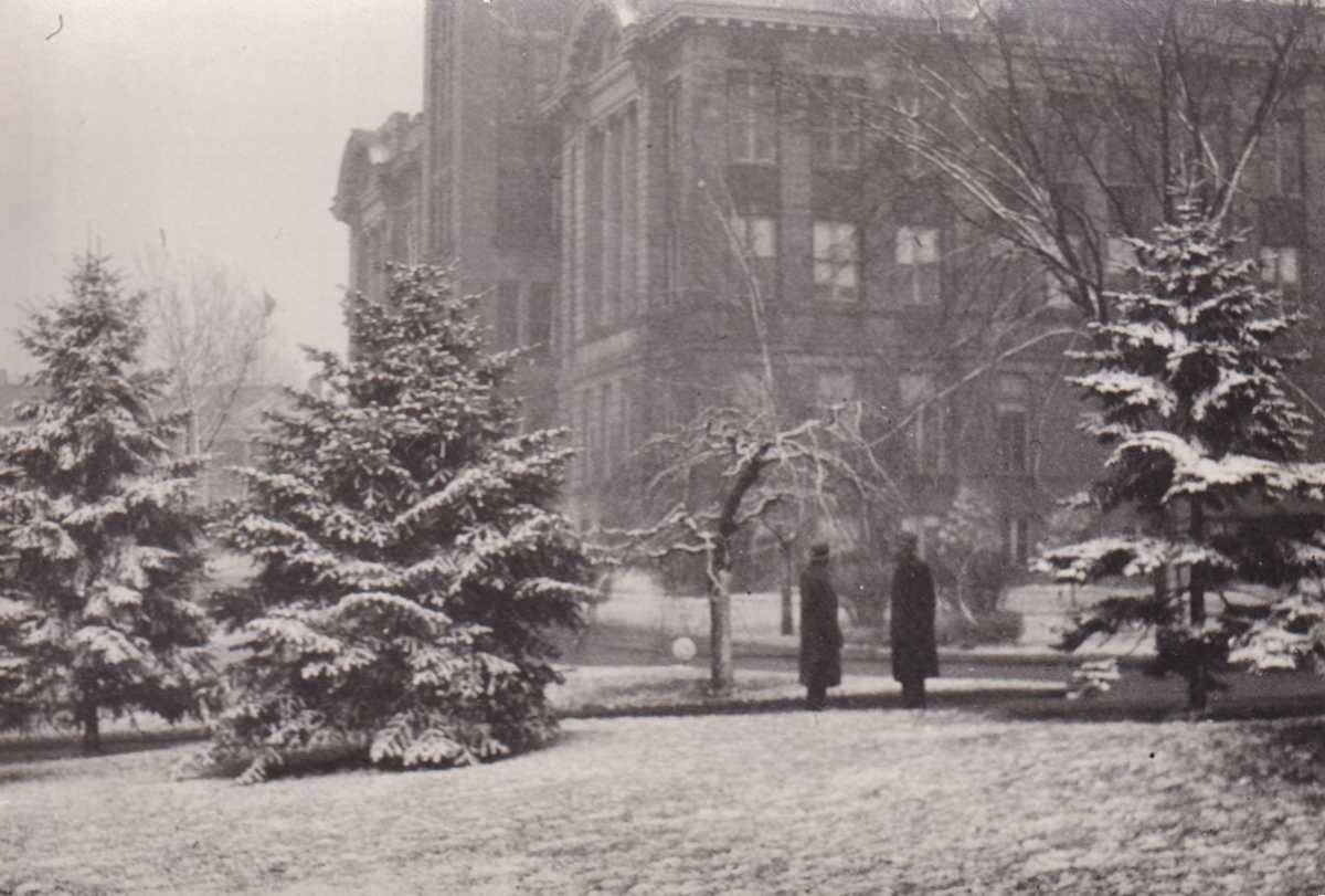 Untitled (Winter) by Mitchel A. Obremski 