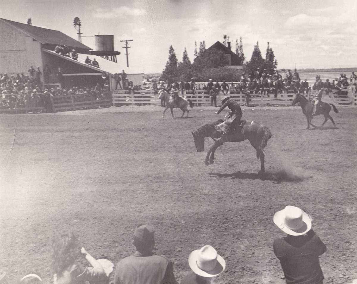 Untitled (Rodeo) by Mitchel A. Obremski 