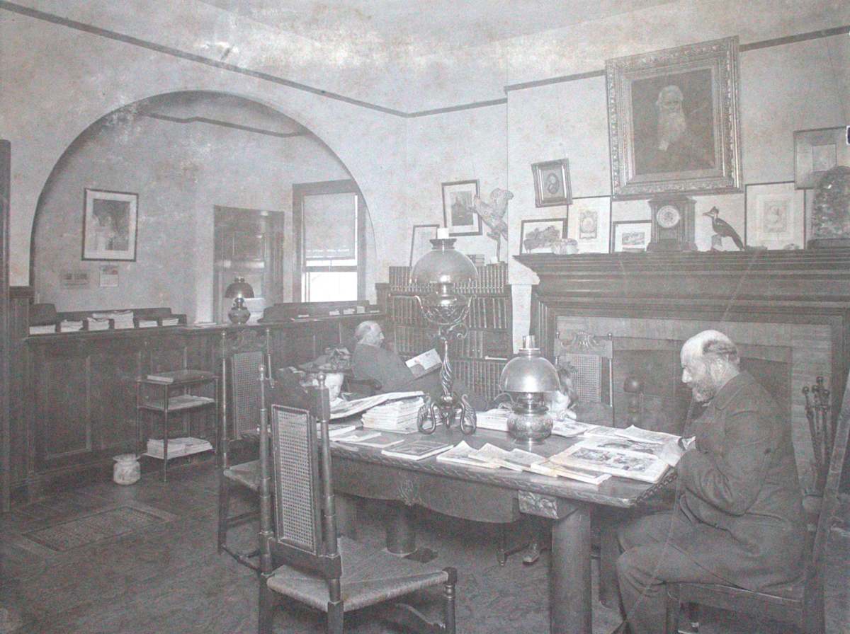 Library Scene by Unknown, United States, Image 1.
