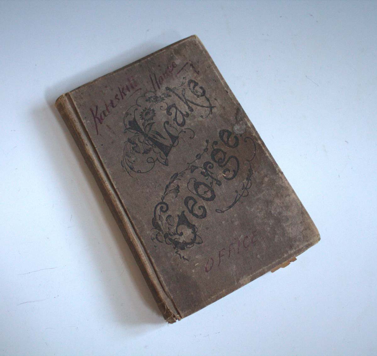 Lake George Illustrated: A Book of Today by Seneca Ray Stoddard 