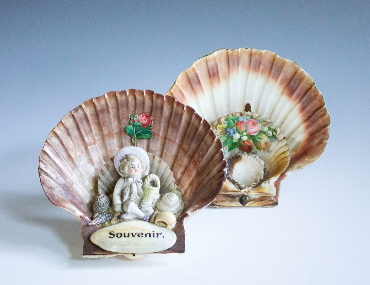 Decorative Shells by Unknown, Germany 