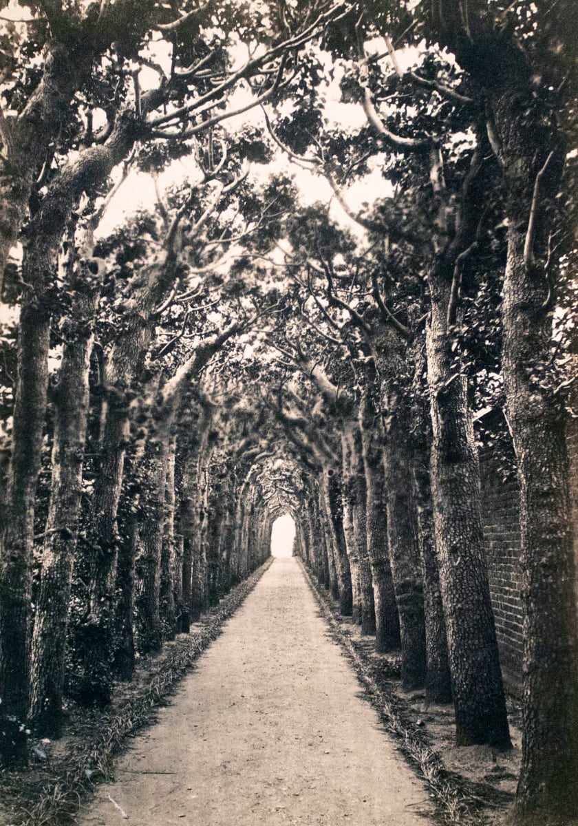 Queen Mary's (Anne's) Bower, Hampton Court Palace by Unknown 