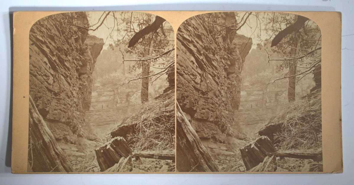 Stereoview by Byron H. Gurnsey, Image 1.