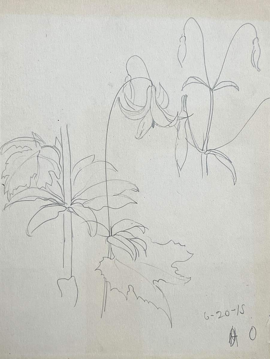 Pencil Sketch by Charles Ephraim Burchfield, Image 1.