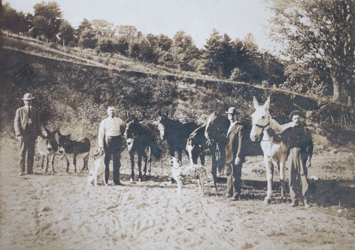 Men with Animals by Unknown, United States 