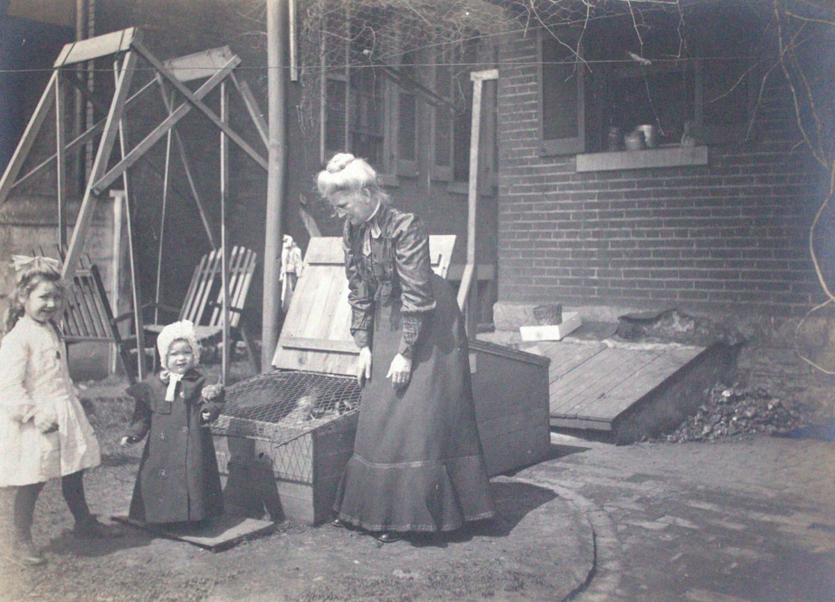 In the Backyard by Unknown, United States, Image 1.