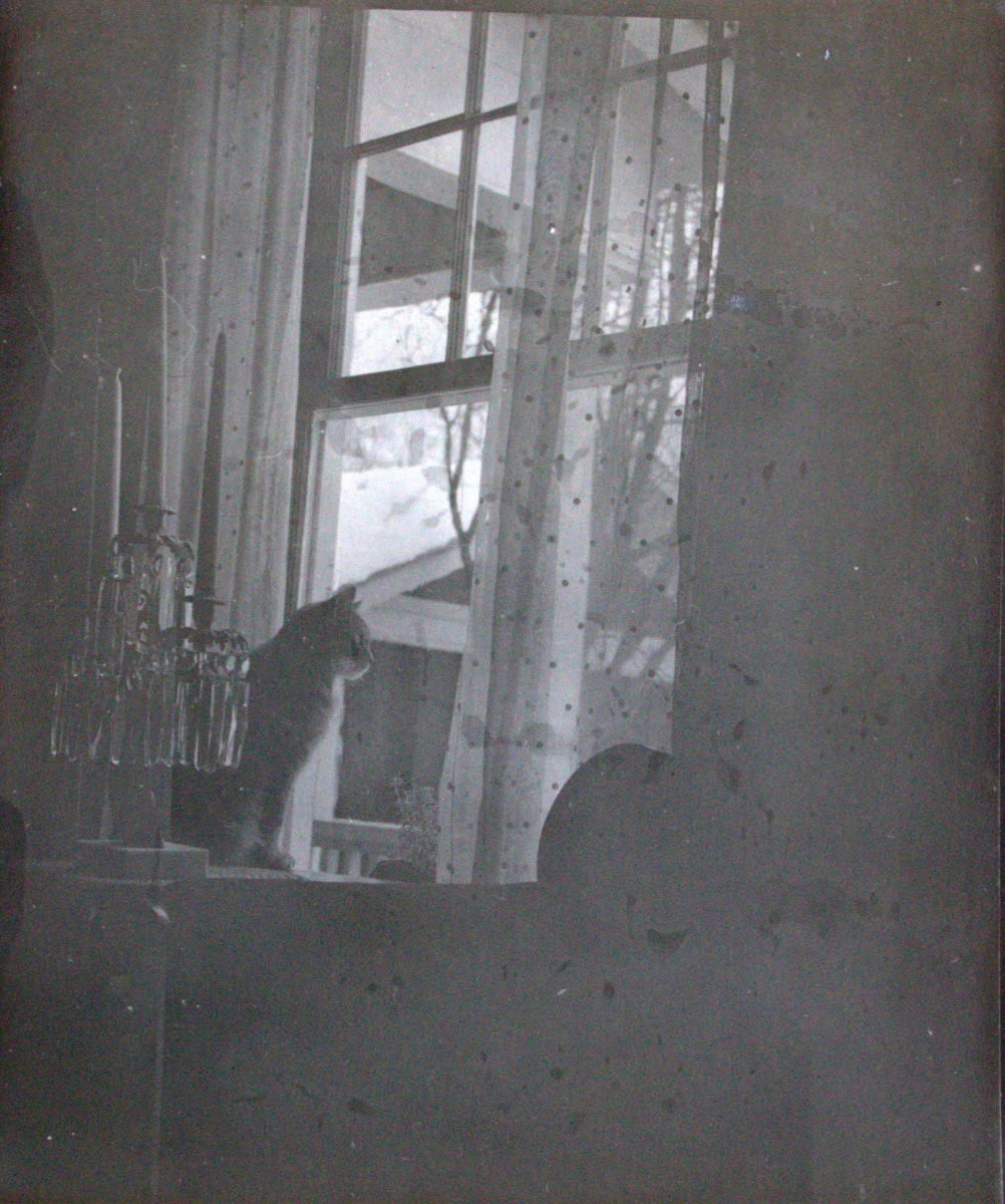 Cat in Window by Unknown, United States, Image 1.
