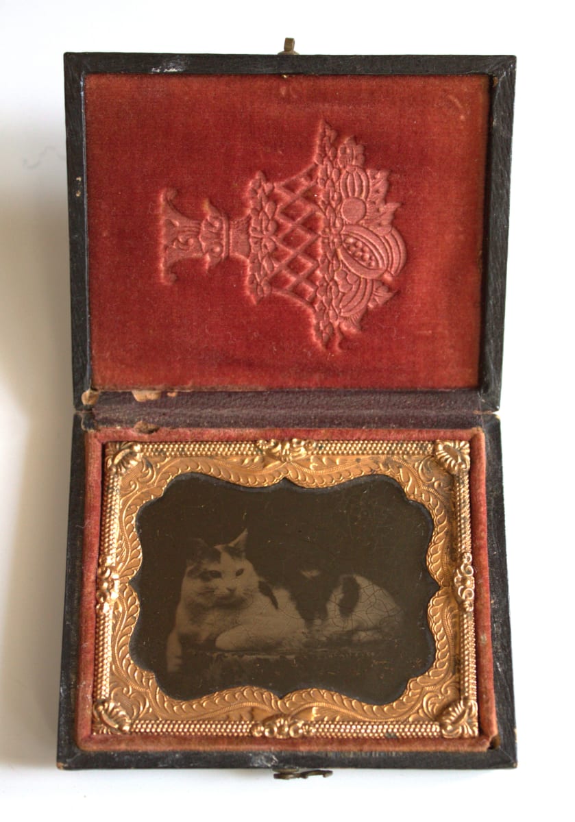 Tintype by Unknown, United States, Image 2.