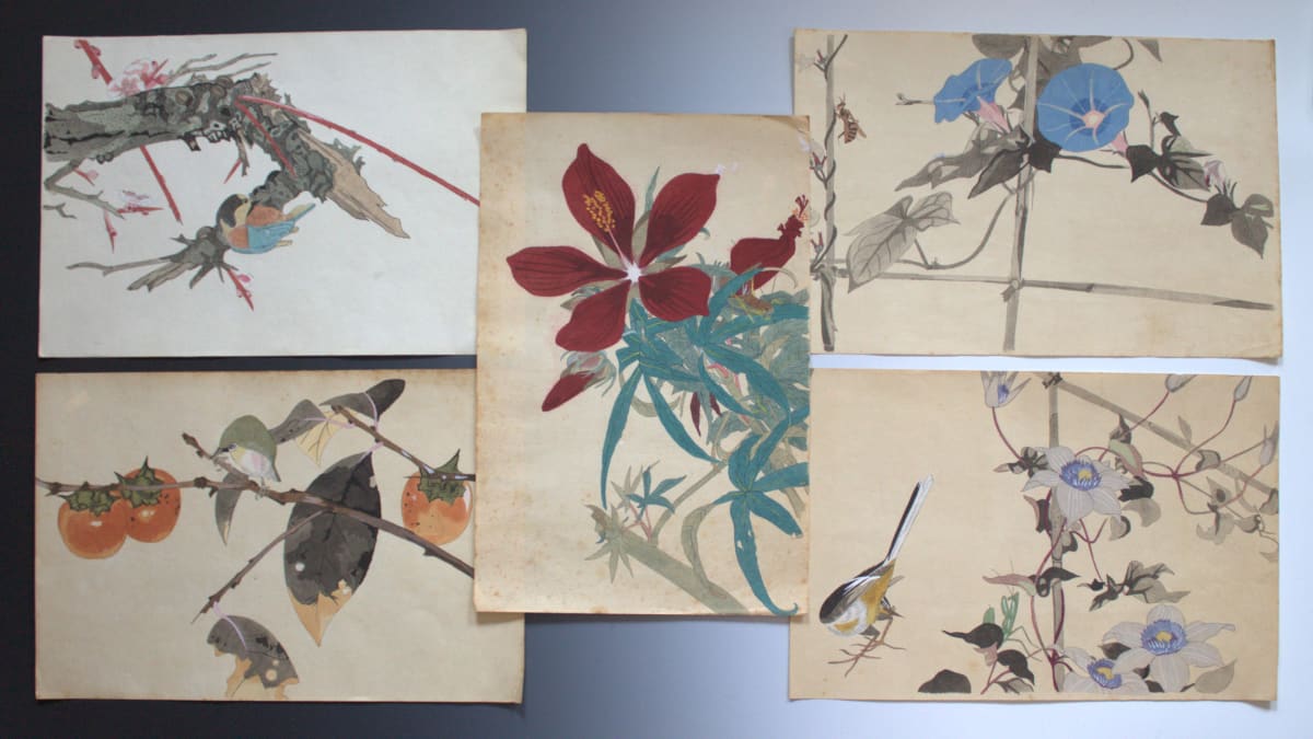Watercolors (Set of Five) by Unknown, Japan 