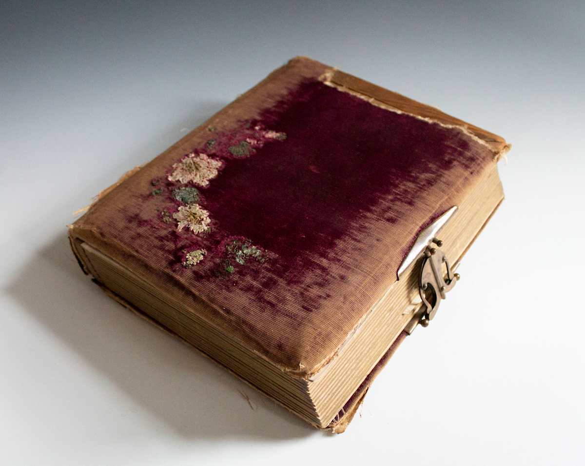 Photo Album by Various 