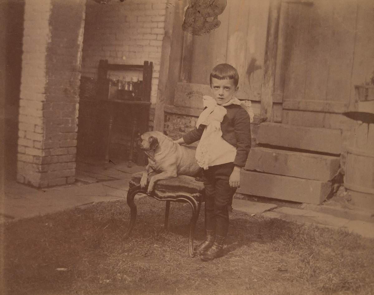 Boy and Pug by Unknown, United States, Image 1.