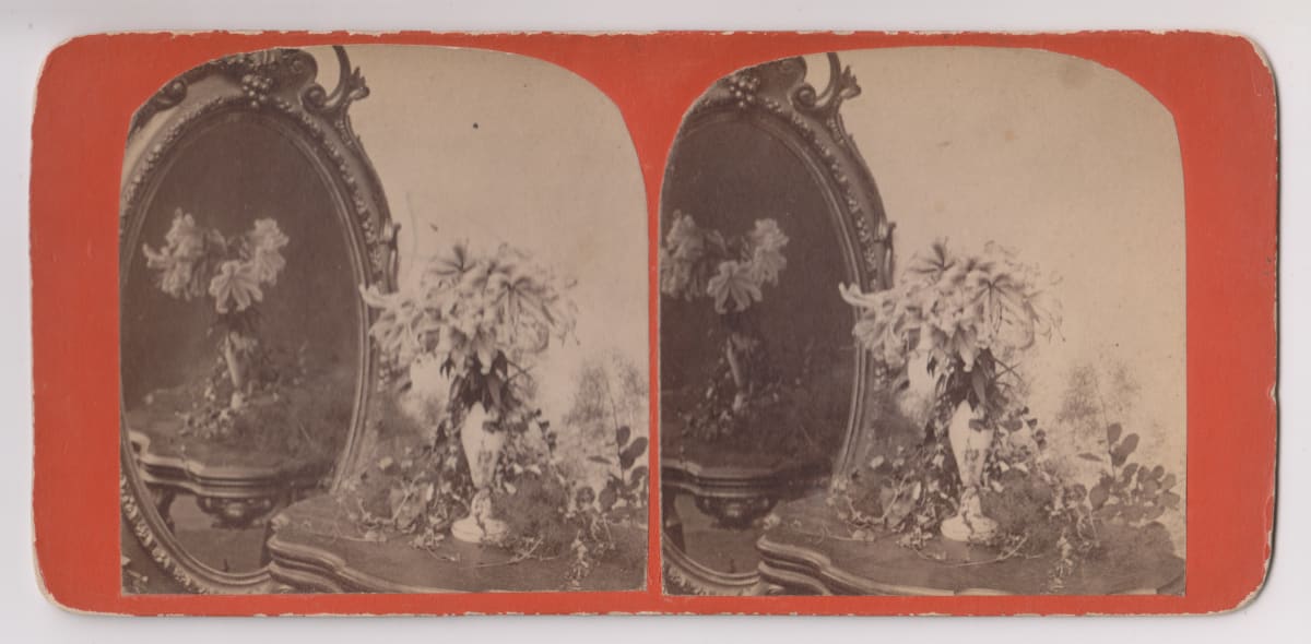 Stereoview by Unknown, United States, Image 1.