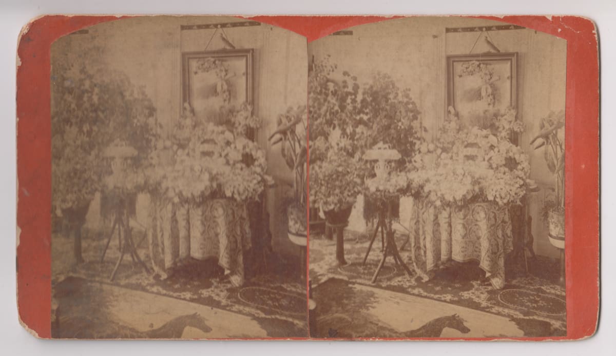 Stereoview by Frank Lawrence 