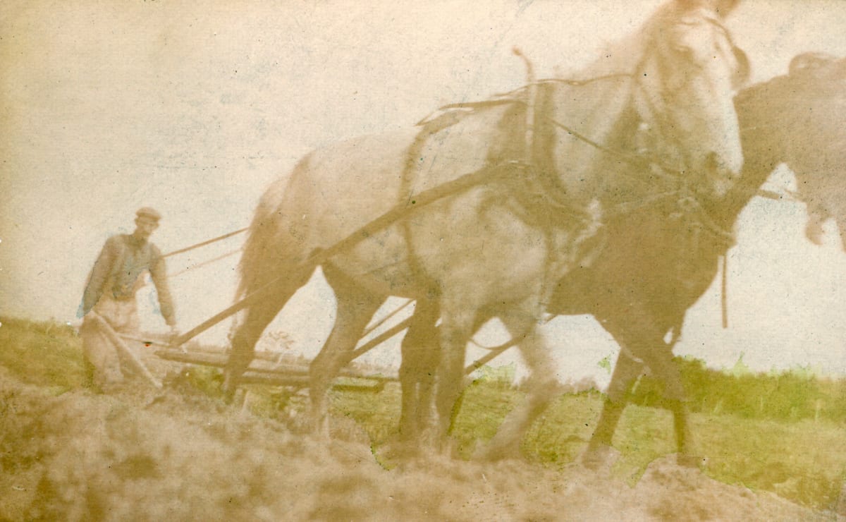 Plowing by Unknown, United States 
