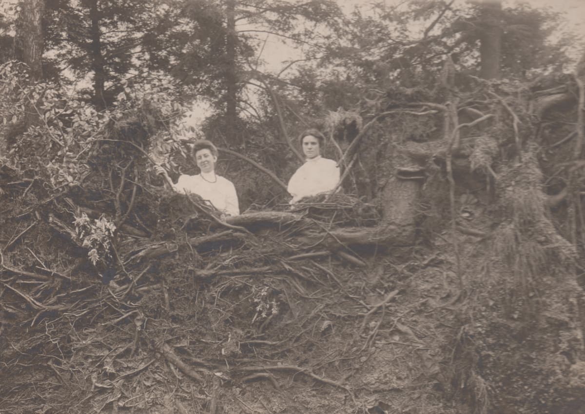 Roots by Unknown, United States, Image 1.