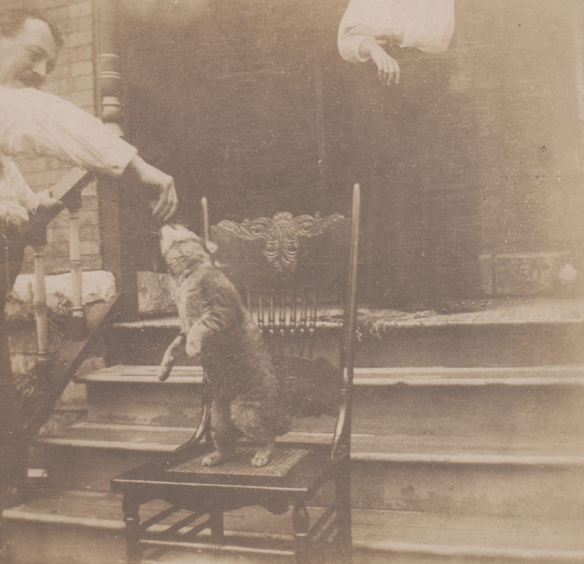 Tabby Cat (Set of Two) by Unknown, United States, Image 2.