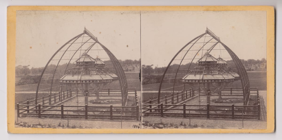 The Dove Cot, Central Park by E. & H.T. Anthony, Henry Goold 