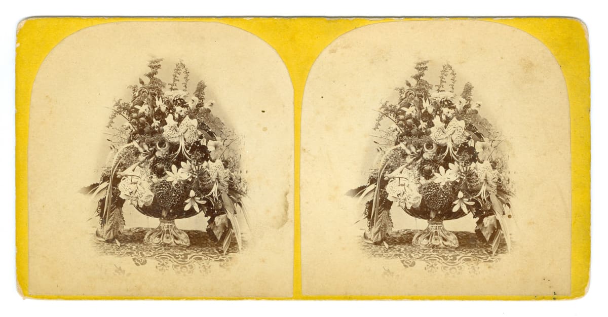 Stereoview by Unknown 