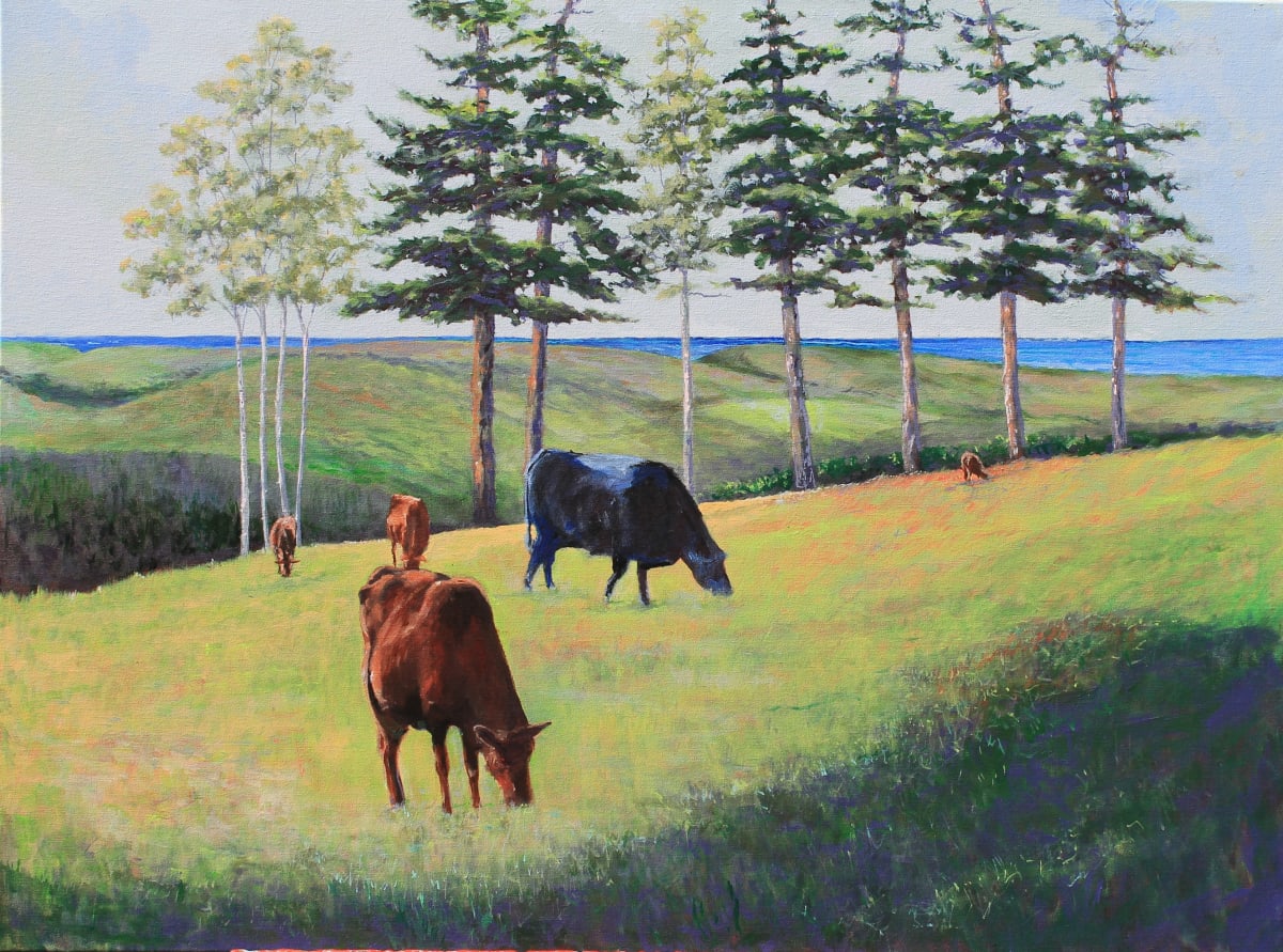Cows Grazing on the Coast of Maine by Douglas H Caves Sr  Image: Cows grazing atop a hill overlooking the coast of Maine.