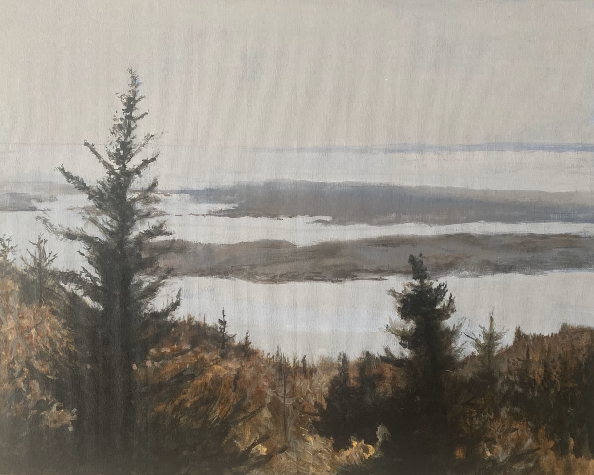 On Mt. Desert by Douglas H Caves Sr  Image: A view from Acadia National Park on an overcast day.