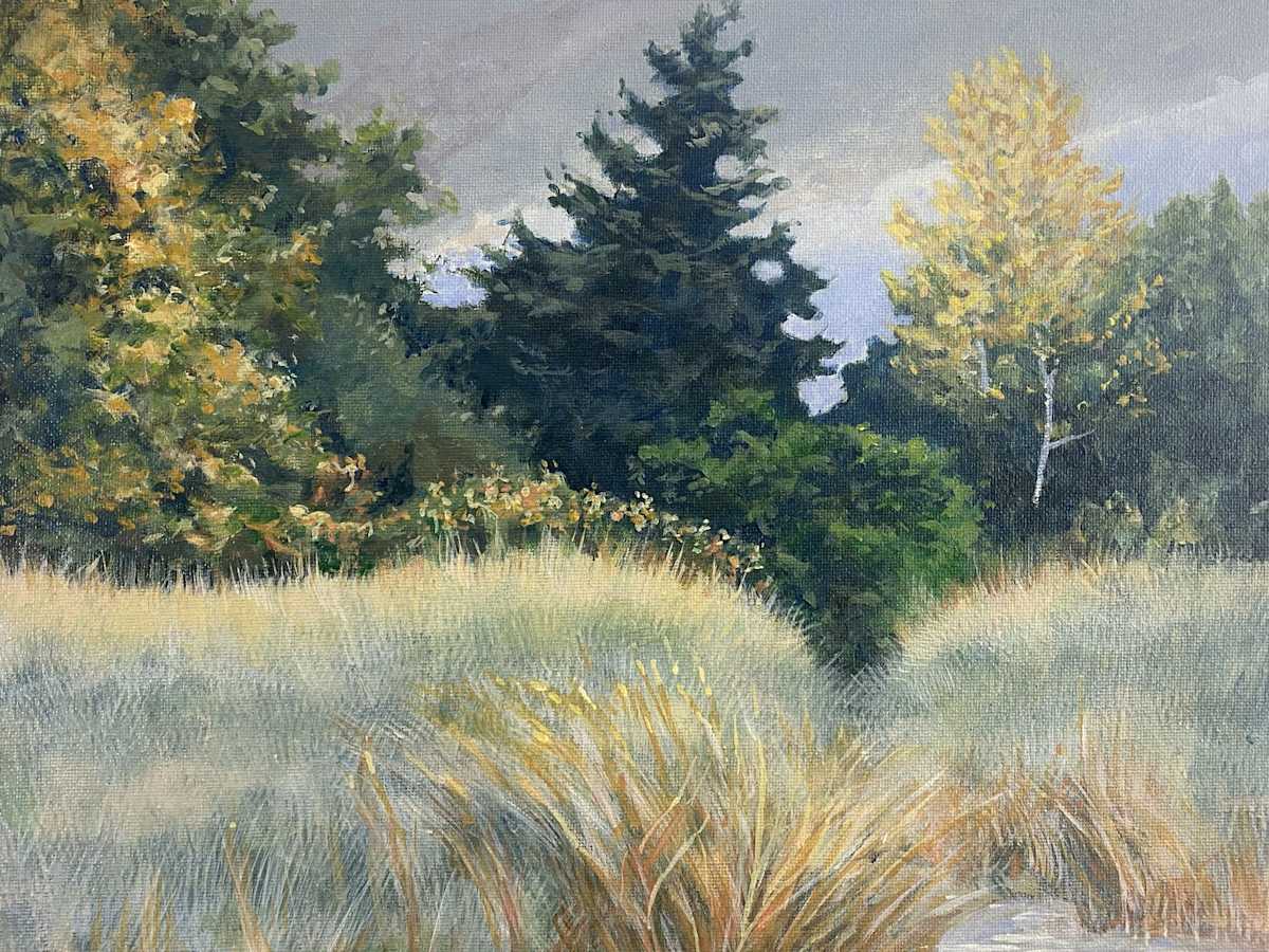 Pathway In A Field by Douglas H Caves Sr  Image: Pathway In A Field