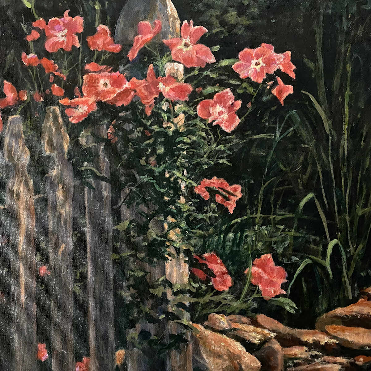 Study of Roses Climbing a Rustic Fence by Douglas H Caves Sr  Image: Study of Roses Climbing a Fence