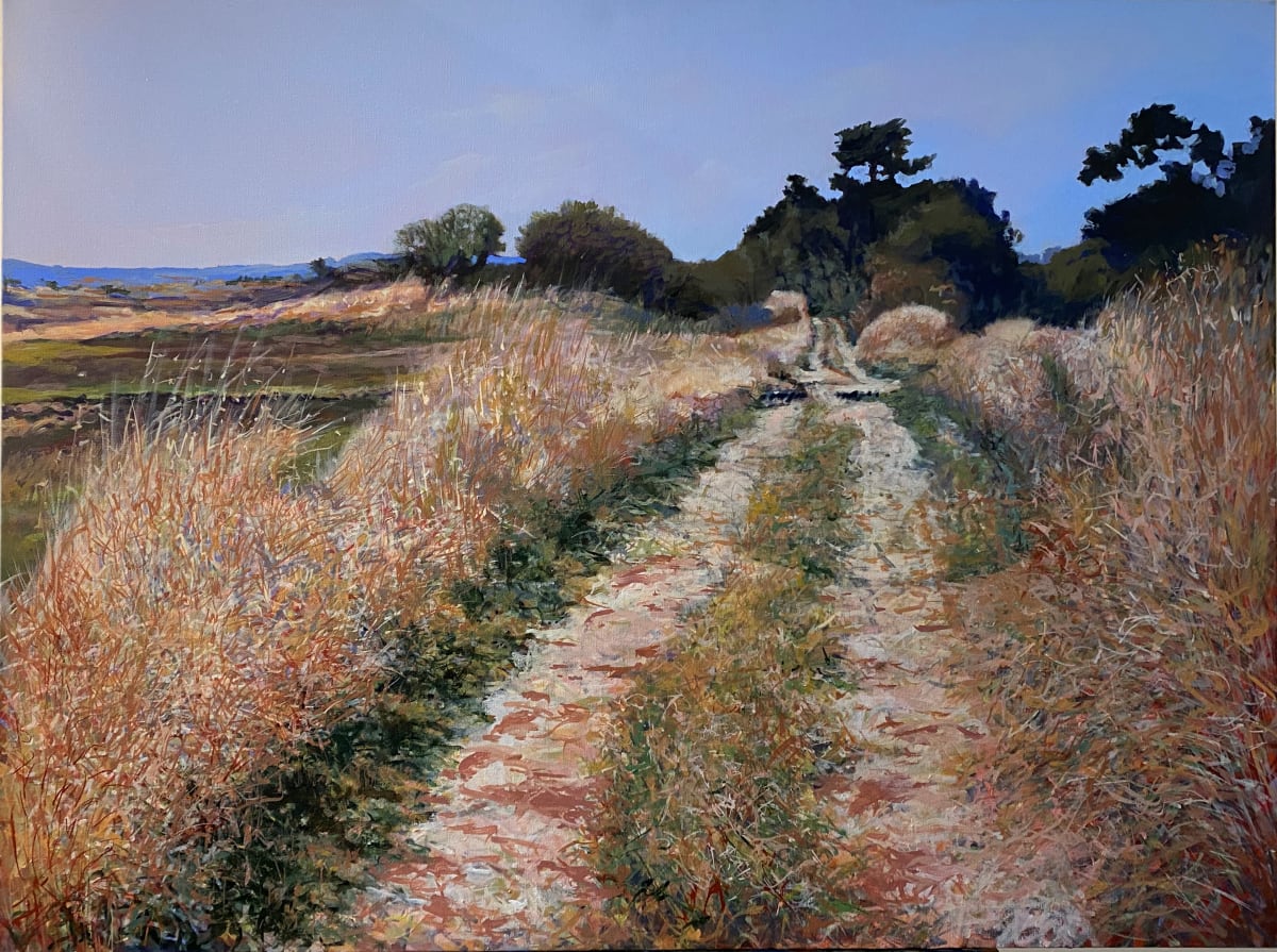 Sunlit Path by Douglas H Caves Sr  Image: Coastal path bathed in brilliant light .