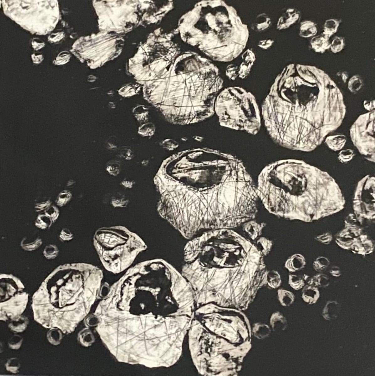 Barnacles by Carol M Ross 
