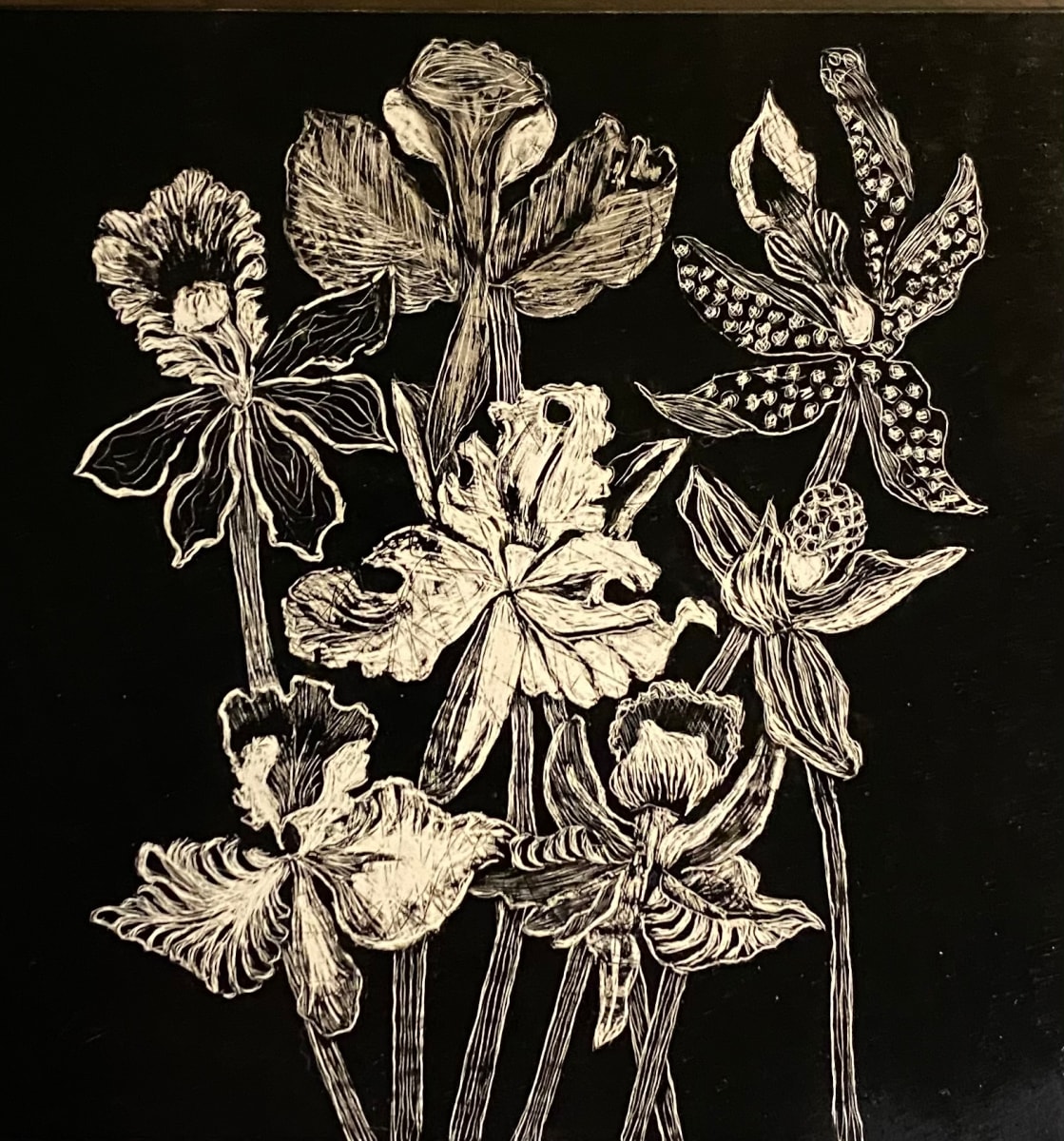 "Orchids" by Carol M Ross 