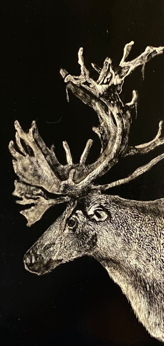 "Elk Velvet" by Carol M Ross 