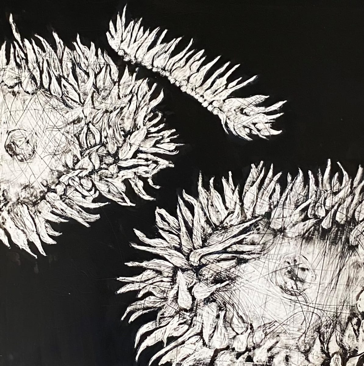 "Anenome" by Carol M Ross 
