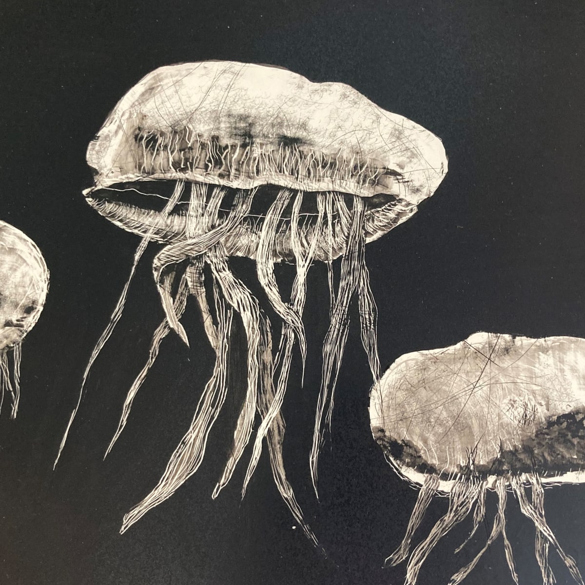 "Jellyfish" by Carol M Ross 