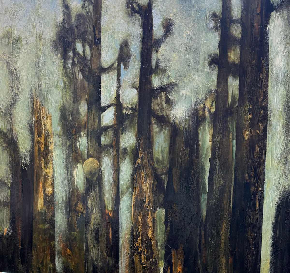 "Cedar Mists" by Carol M Ross 