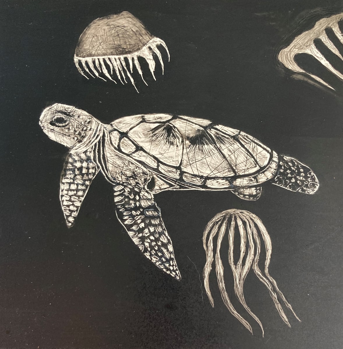 "Turtle With Jellyfish" by Carol M Ross 