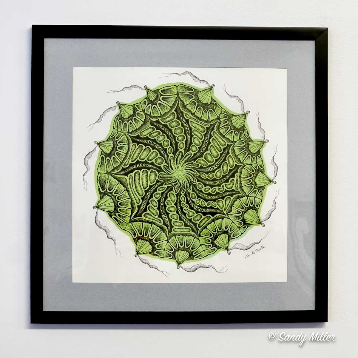 24010 - Lime Freeform 4 by Sandy Miller, Image 1.