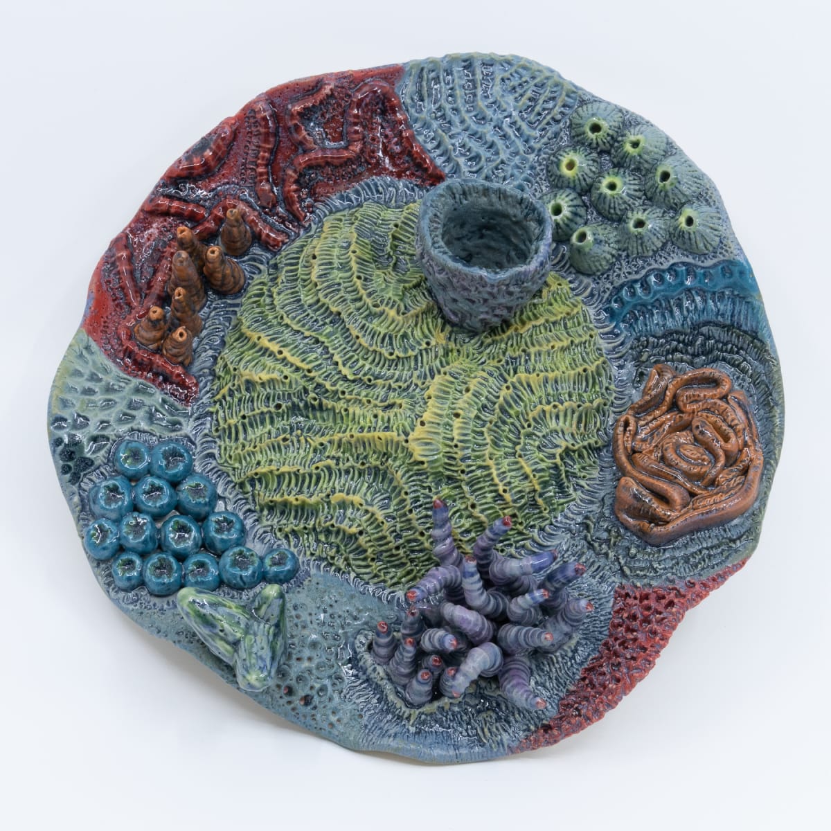 Reef Coral - Wall  Art by Sandy Miller  Image: Top view