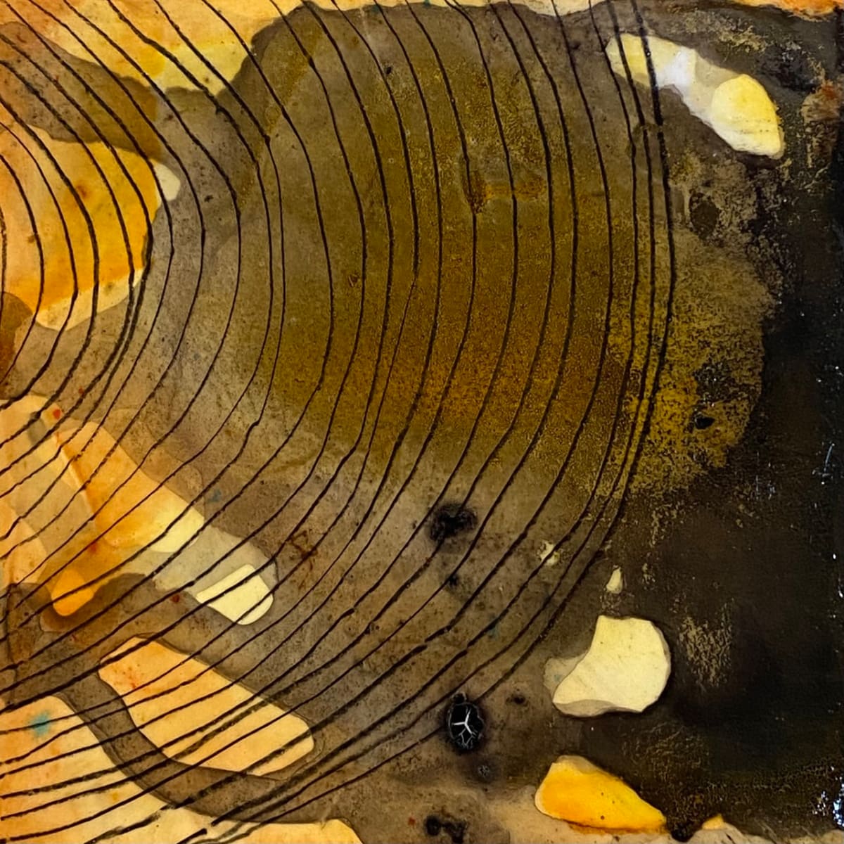 Golden Growth Rings #4 by Susan Snipes, Image 2.